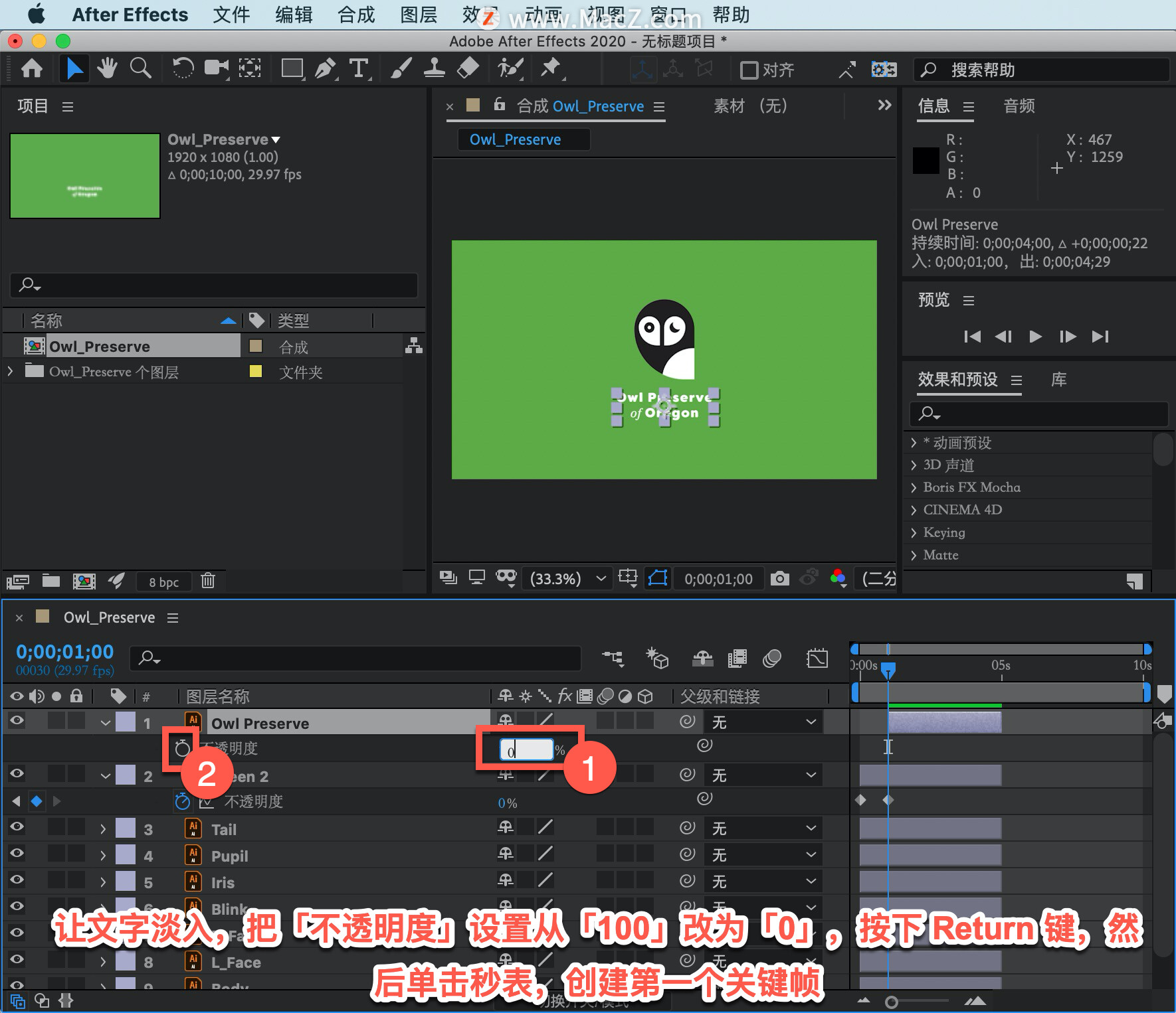 After Effects ̡̳10 After Effects ж Illustrator ͼĵжƣ