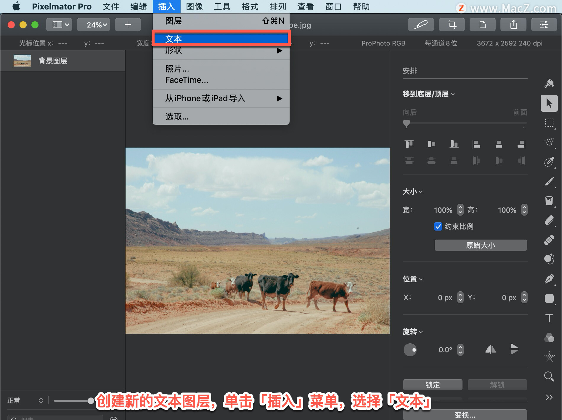 Pixelmator Pro?̡̳24 Pixelmator Pro?дı״ͼ㣿