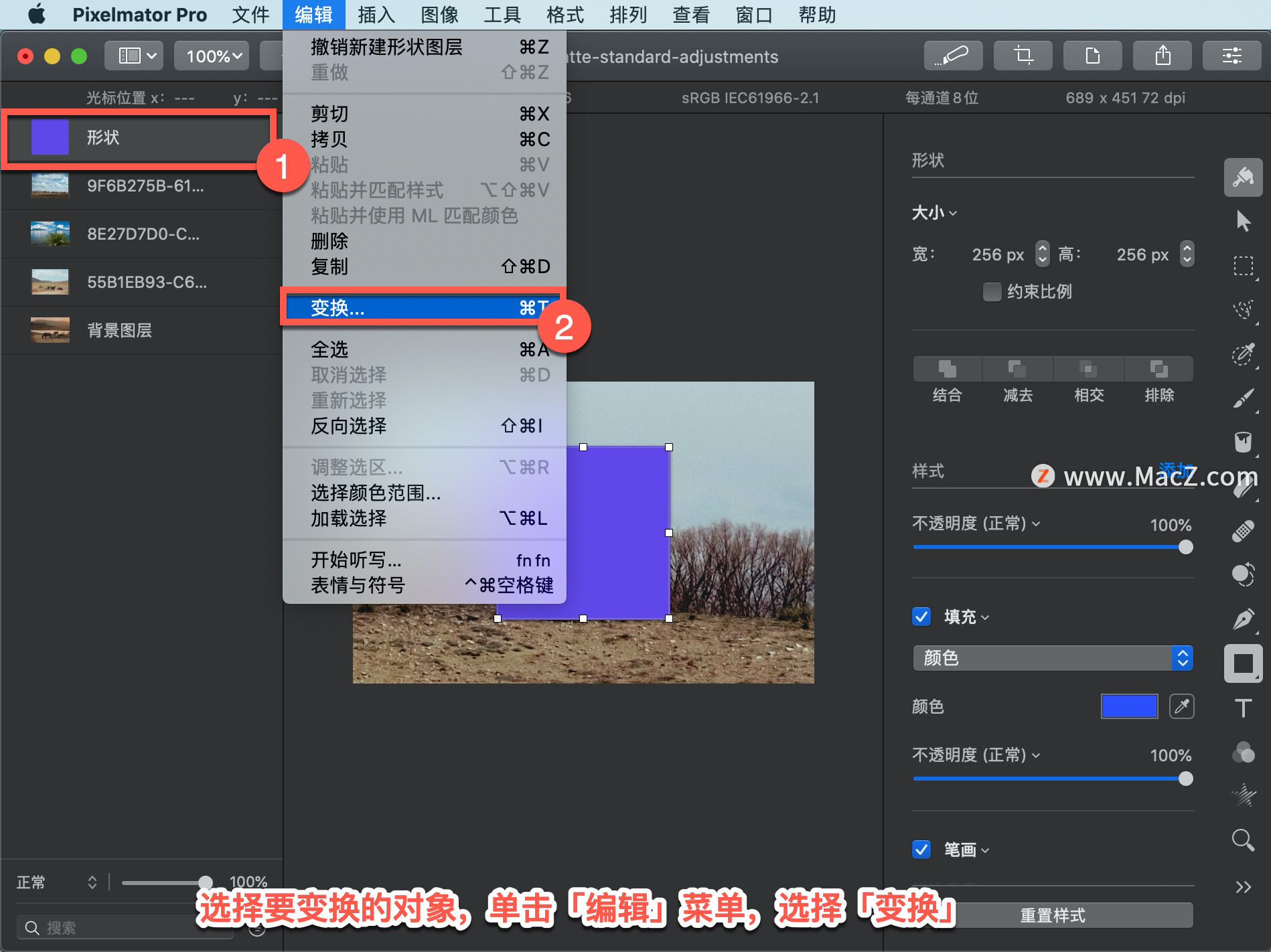 Pixelmator Pro?̡̳33 Pixelmator Pro?ɱ任ͼ㣿