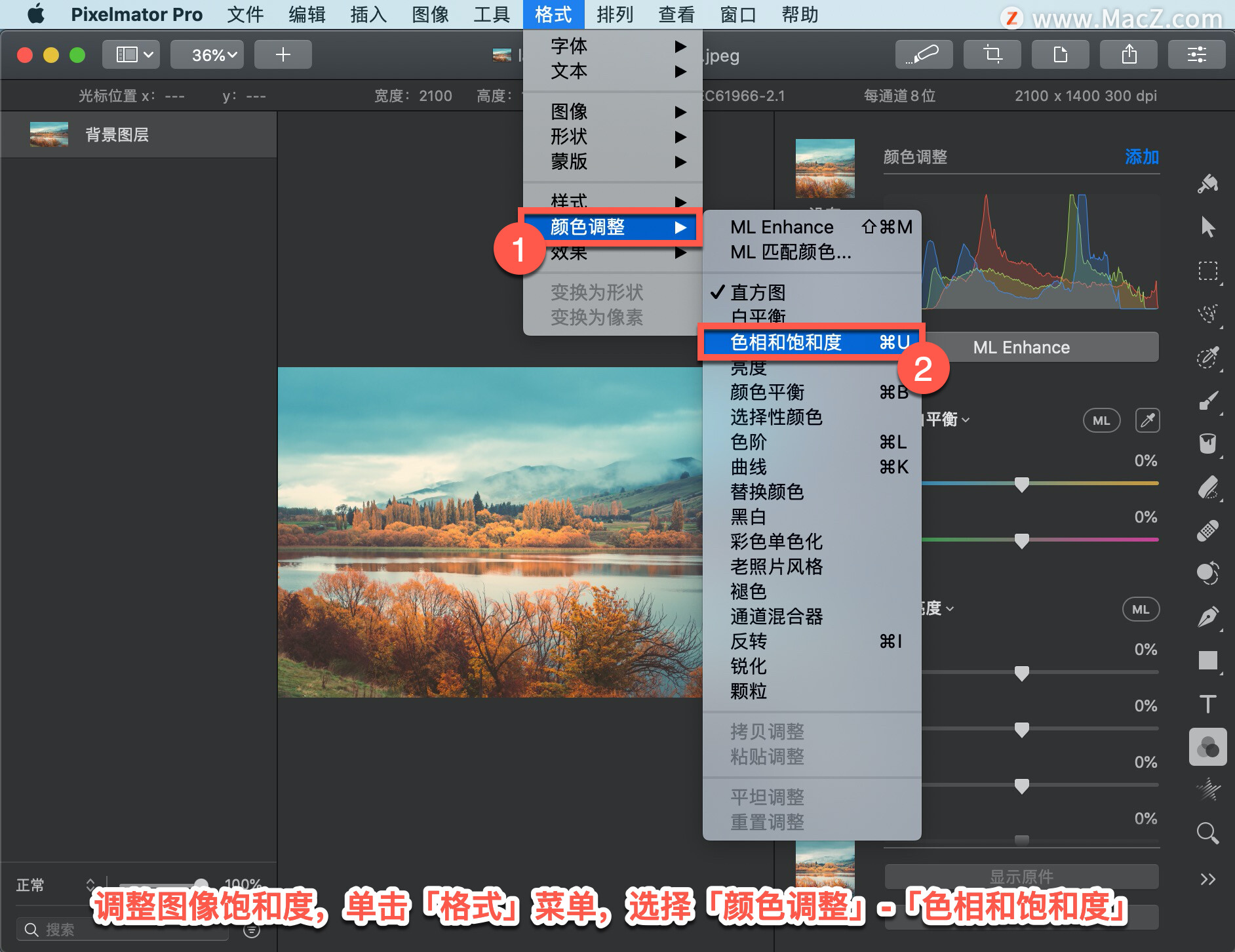 Pixelmator Pro?̡̳62 Pixelmator Pro?еͼ񱥺Ͷȣ