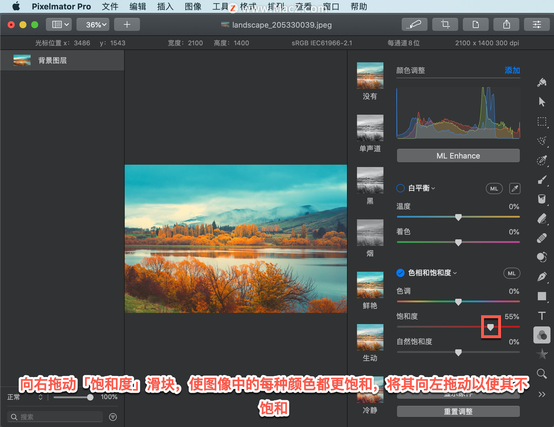 Pixelmator Pro?̡̳62 Pixelmator Pro?еͼ񱥺Ͷȣ