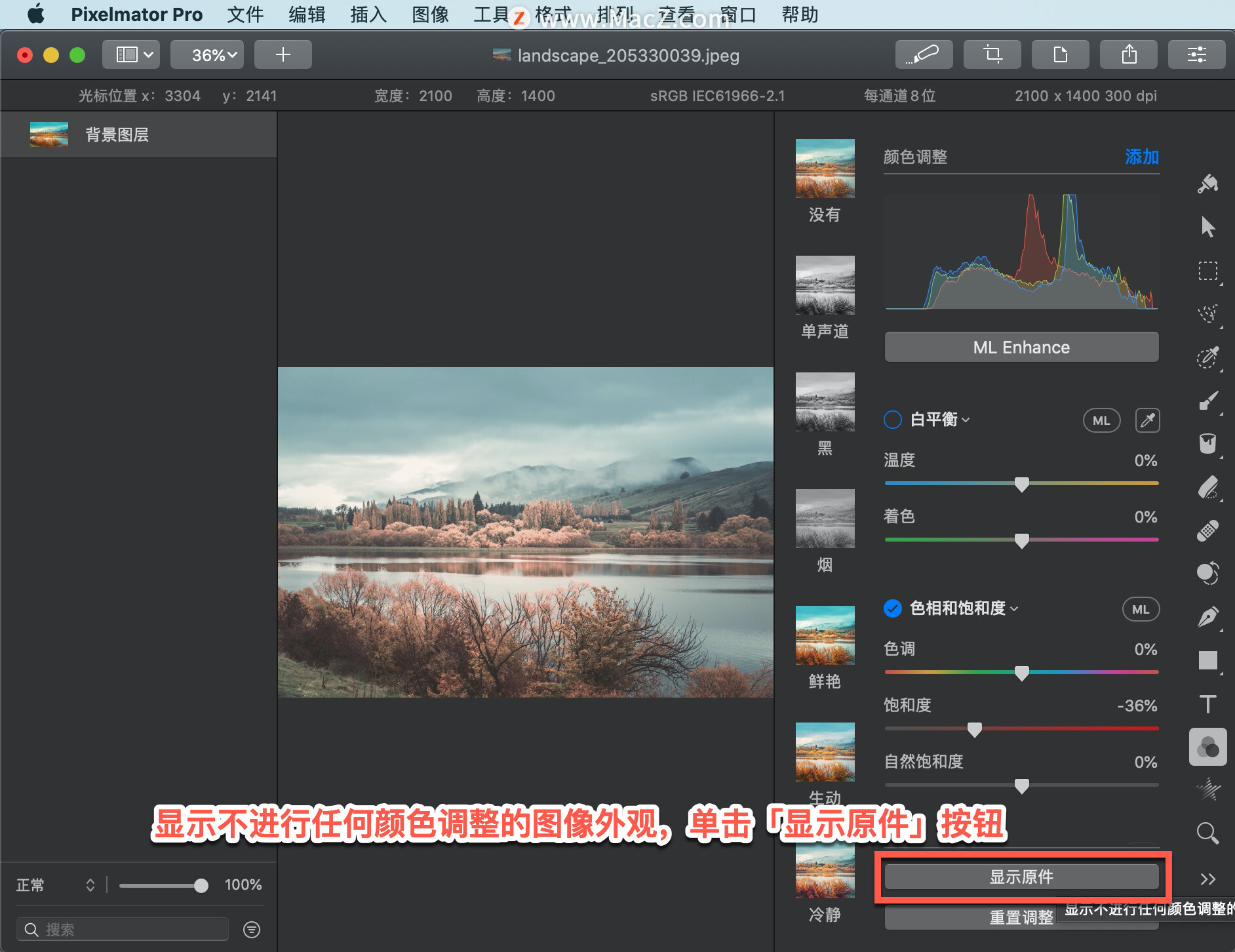 Pixelmator Pro?̡̳62 Pixelmator Pro?еͼ񱥺Ͷȣ