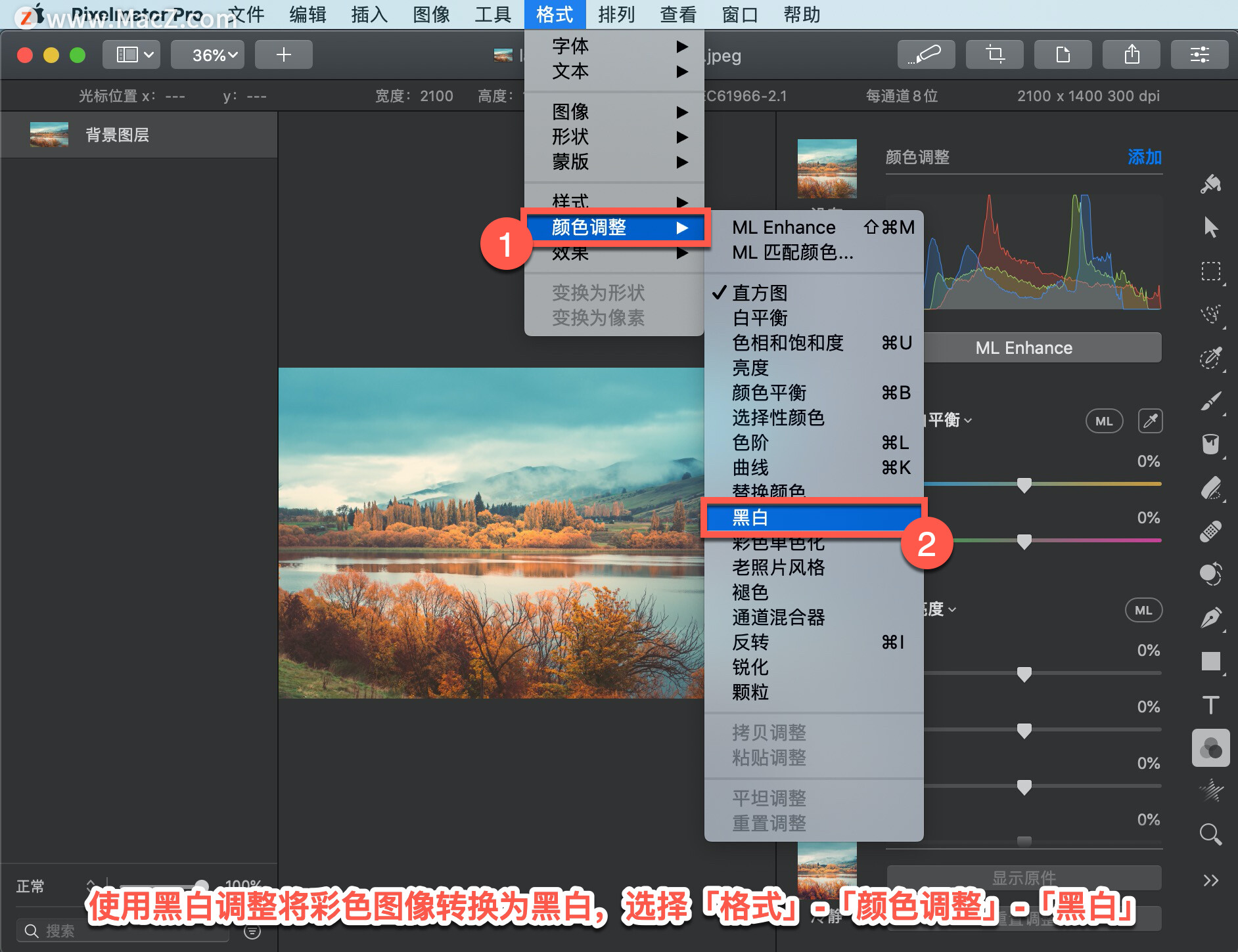 Pixelmator Pro?̡̳77 Pixelmator Pro?нɫͼתΪڰף