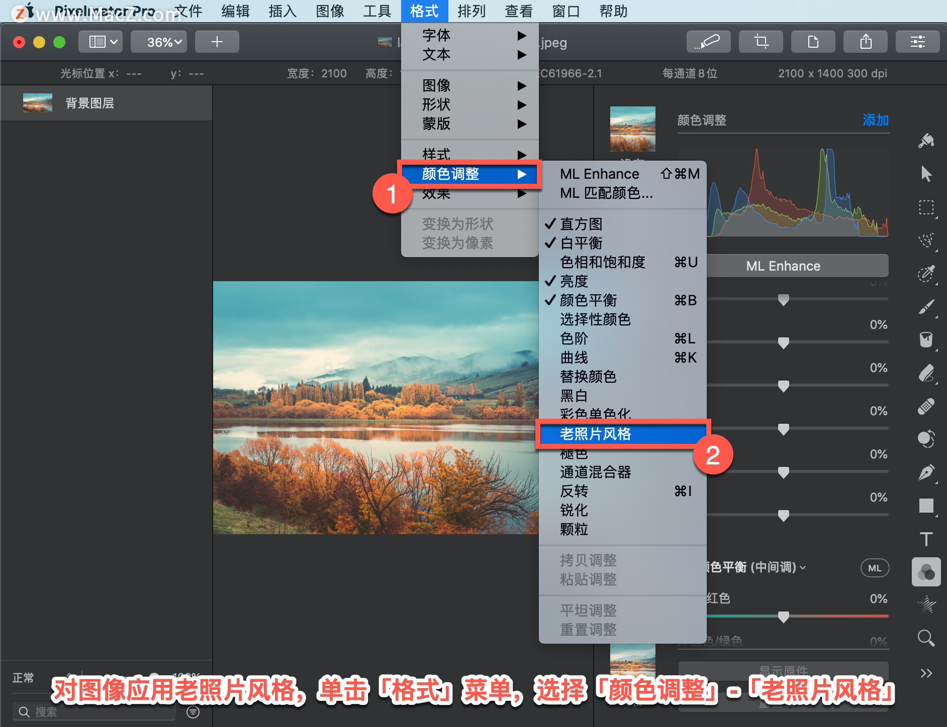 Pixelmator Pro?̡̳79 Pixelmator Pro?жͼӦƬ