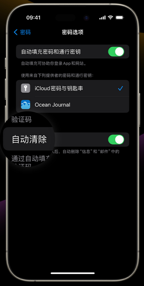 iOS 17 Сɣ֧Զ iPhone ֤Ϣ