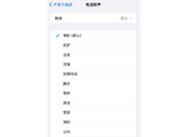 iOS 17 ±仯Ϊ iPhone  20 ȫ