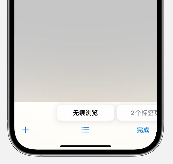 iOS 17 ˽ܣͨ ID ޺