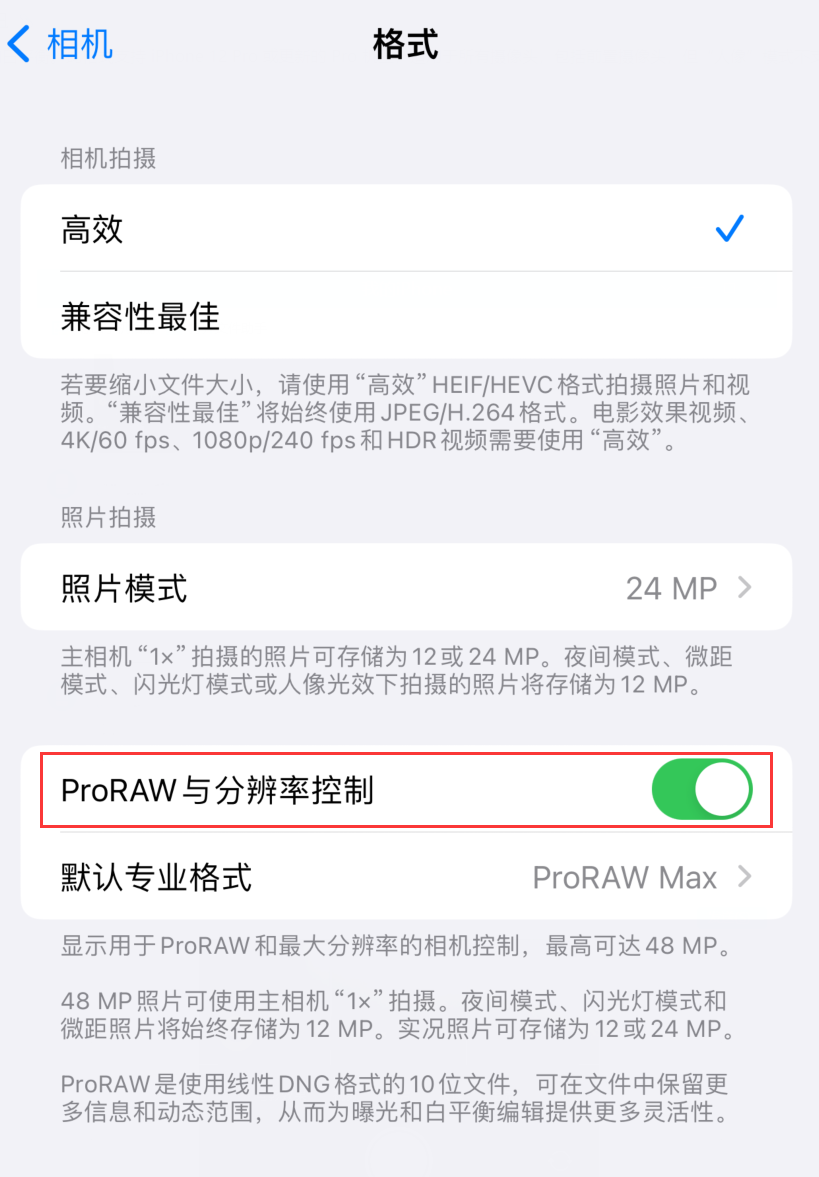  iPhone 15 Pro ϵл Apple ProRAW ʽ