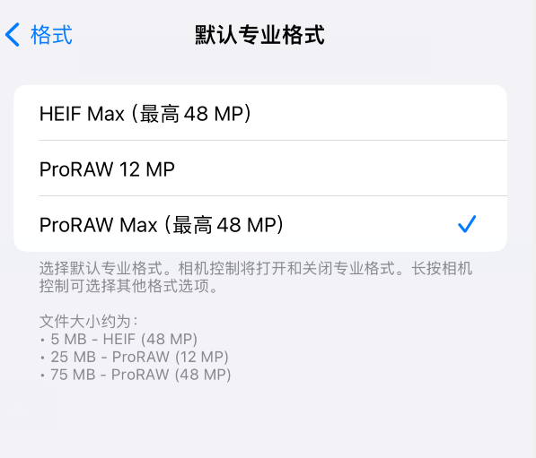  iPhone 15 Pro ϵл Apple ProRAW ʽ
