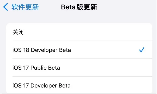 iOS 18 beta¹_ЩBugiOS 18 beta