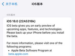 ƻط iOS / iPadOS 18 Beta 4 £汾űΪ 22A5316k