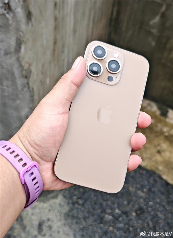 iPhone 16 Pro Maxͭɫȡǰɫ汾