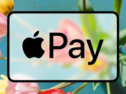 Apple Pay ¸ʮꡱƻд޽Ӵ֧ͼֳԿ׽չ⳵