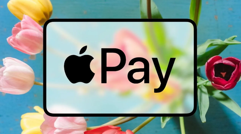 Apple Pay ¸ʮꡱƻд޽Ӵ֧ͼֳԿ׽չ⳵