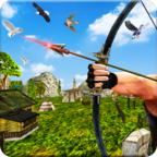 Bird Hunting Mania V1.0.4