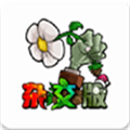 pvzӽ潾Ͷ V2.6.0